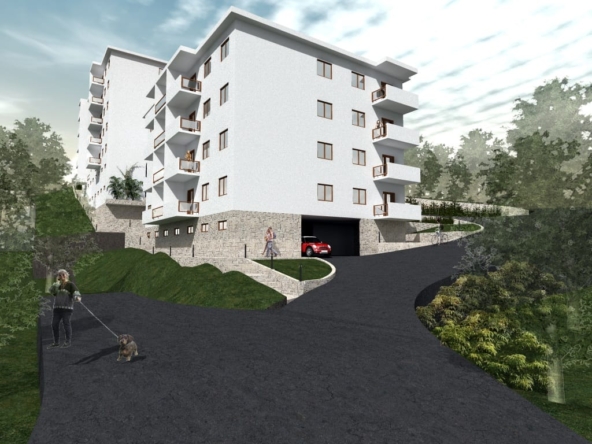 property Montenegro